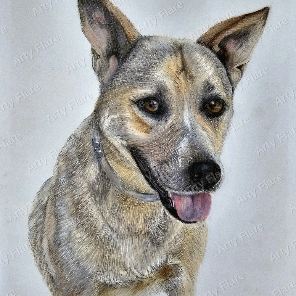 Realistic coloured pencil pet portrait of Flirty by Arty Flare