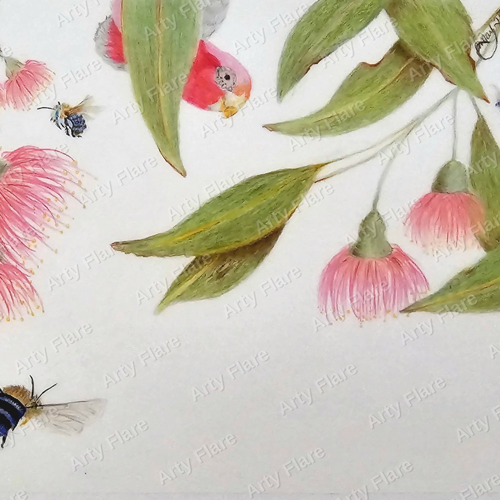 Realistic coloured pencil study of Gumnut & Banded Bee by Arty Flare