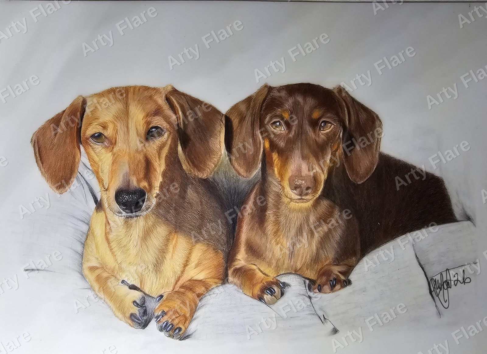 Realistic coloured pencil pet portrait of Duke & Cash by Arty Flare