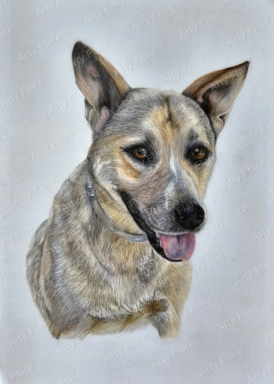 Realistic coloured pencil pet portrait of Flirty by Arty Flare