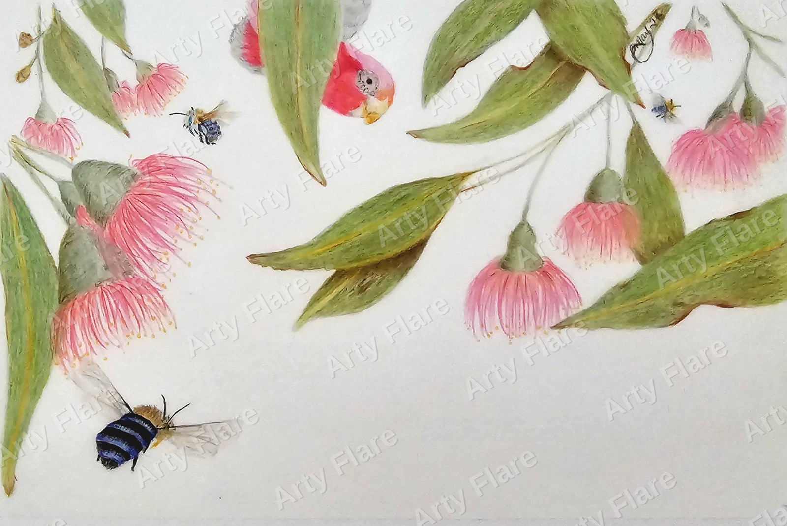 Realistic coloured pencil study of Gumnut & Banded Bee by Arty Flare
