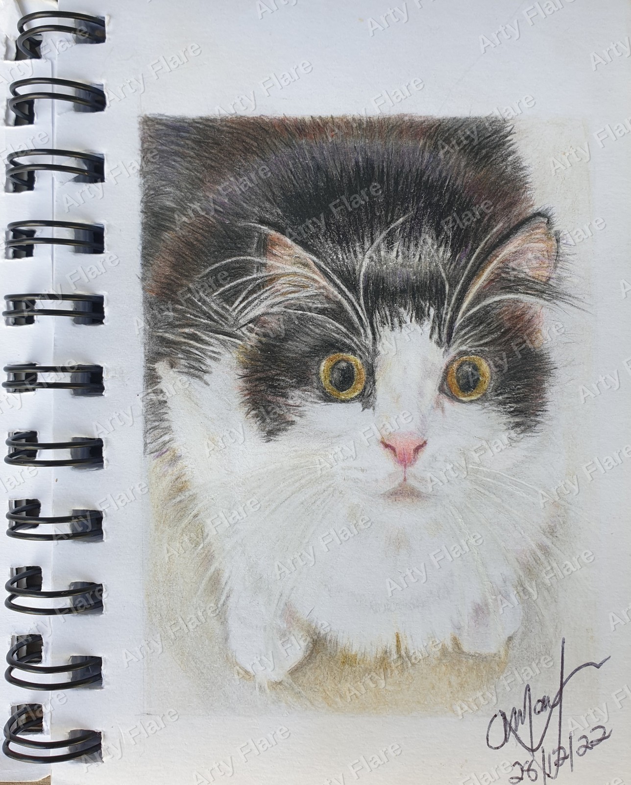 Realistic coloured pencil pet portrait of Lucy by Arty Flare