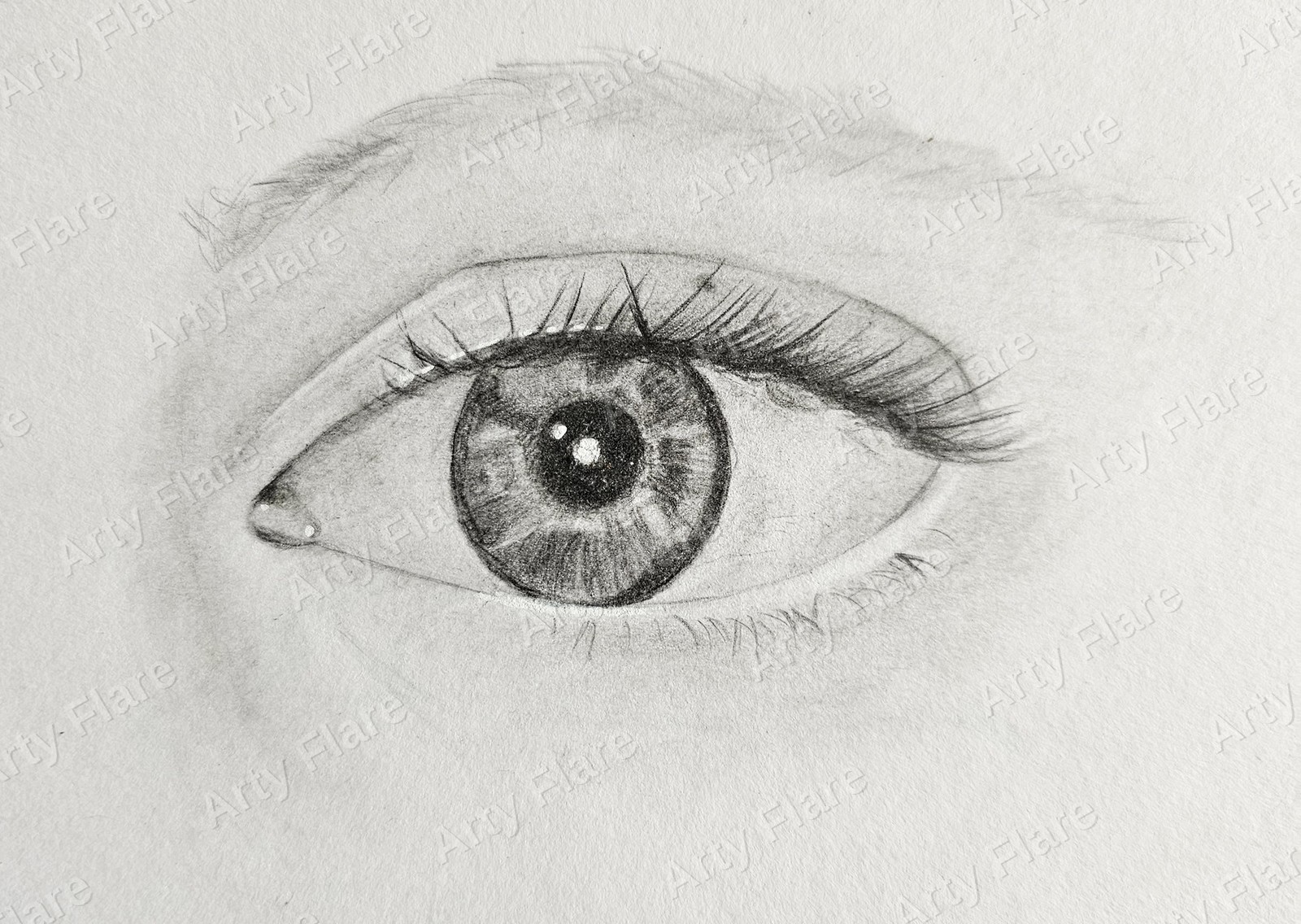 Realistic coloured pencil study of Monochrome Eye by Arty Flare